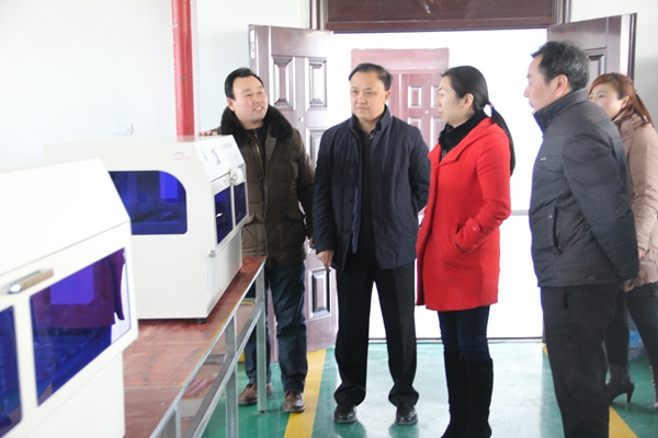 區委常委、統戰部長張莉一行正在闊海醫療調研